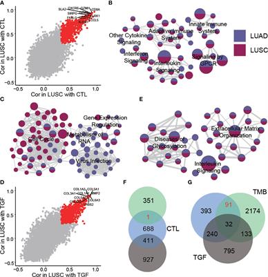 Frontiers | A Combination Of Biomarkers Predict Response To Immune ...